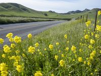 California Landscape on a Sunny Day