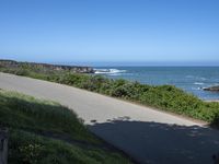 a person riding a bike on a narrow road near the ocean in the sun with a dog