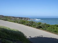 a person riding a bike on a narrow road near the ocean in the sun with a dog