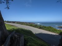 a person riding a bike on a narrow road near the ocean in the sun with a dog