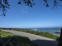 a person riding a bike on a narrow road near the ocean in the sun with a dog