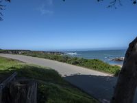 a person riding a bike on a narrow road near the ocean in the sun with a dog