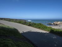 a person riding a bike on a narrow road near the ocean in the sun with a dog