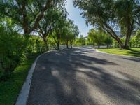 the trees line the road along with the driveway leading to the park, surrounded by lush trees