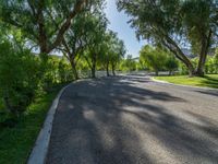 the trees line the road along with the driveway leading to the park, surrounded by lush trees