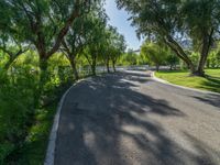 the trees line the road along with the driveway leading to the park, surrounded by lush trees