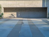 a bird sitting on top of a concrete floor with palm trees behind it in front of a large wall