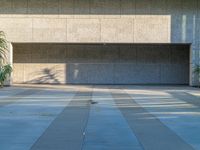 a bird sitting on top of a concrete floor with palm trees behind it in front of a large wall