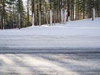 California's Mammoth Lake: Snowy Road Through a Beautiful Forest