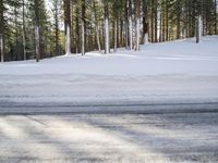 California's Mammoth Lake: Snowy Road Through a Beautiful Forest