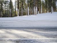 California's Mammoth Lake: Snowy Road Through a Beautiful Forest