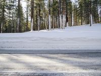 California's Mammoth Lake: Snowy Road Through a Beautiful Forest