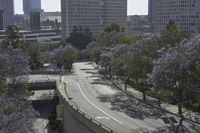 California's Metropolis: Skyscrapers in the Metropolitan Area