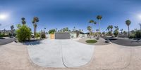 a skateboard park with some palm trees and a house near it with no one on board