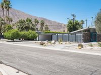 California Mid-Century Desert Home