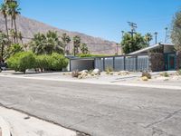 California Mid-Century Desert Home