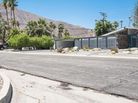 California Mid-Century Desert Home