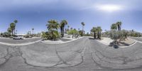 an empty parking lot with multiple car parking spaces and trees surrounding it are in the shadow