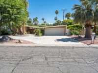 California Mid-Century Villa with Palm Tree