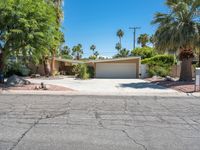 California Mid-Century Villa with Palm Tree