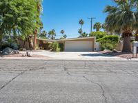 California Mid-Century Villa with Palm Tree