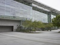 several trees and bushes sit in front of a large building with glass windows and sliding doors