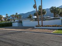 a modern residence on a palm lined drive in palm springs, california, usa, where palm trees grow