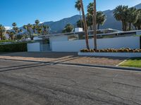 a modern residence on a palm lined drive in palm springs, california, usa, where palm trees grow