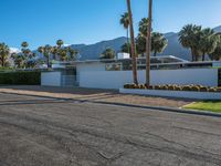 a modern residence on a palm lined drive in palm springs, california, usa, where palm trees grow