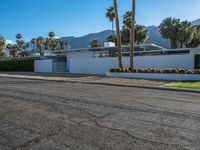 a modern residence on a palm lined drive in palm springs, california, usa, where palm trees grow