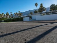 a modern residence on a palm lined drive in palm springs, california, usa, where palm trees grow