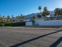 a modern residence on a palm lined drive in palm springs, california, usa, where palm trees grow