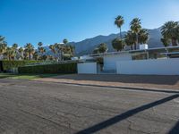 a modern residence on a palm lined drive in palm springs, california, usa, where palm trees grow