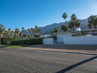 a modern residence on a palm lined drive in palm springs, california, usa, where palm trees grow