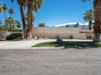 California Modern Architecture House Among Palm Trees