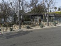 California Modern Architecture: Road Landscape 001