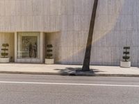 a person walks on a sidewalk beside a tree and a building near the water fountain