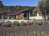 a home sits near an outside landscaping area, and is surrounded by a mountain side, trees, and shrubs