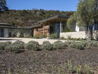 a home sits near an outside landscaping area, and is surrounded by a mountain side, trees, and shrubs