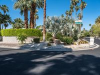 California Modern Residential Architecture: Palm Springs Villa