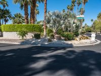 California Modern Residential Architecture: Palm Springs Villa