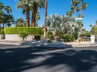 California Modern Residential Architecture: Palm Springs Villa