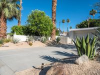 a large yard with palm trees and rocks surrounding the yard area of this home in palm springs