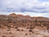 the desert is barren and brown in some sort of nature under a cloudy sky with fluffy white clouds