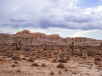 the desert is barren and brown in some sort of nature under a cloudy sky with fluffy white clouds