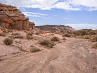 the dirt is brown and empty, as the grass stands out against the rock formations