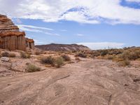 the dirt is brown and empty, as the grass stands out against the rock formations