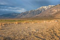 California Mountain Landscape: A View of Grass and Mountains