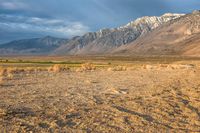 California Mountain Landscape: A View of Grass and Mountains