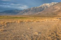 California Mountain Landscape: A View of Grass and Mountains